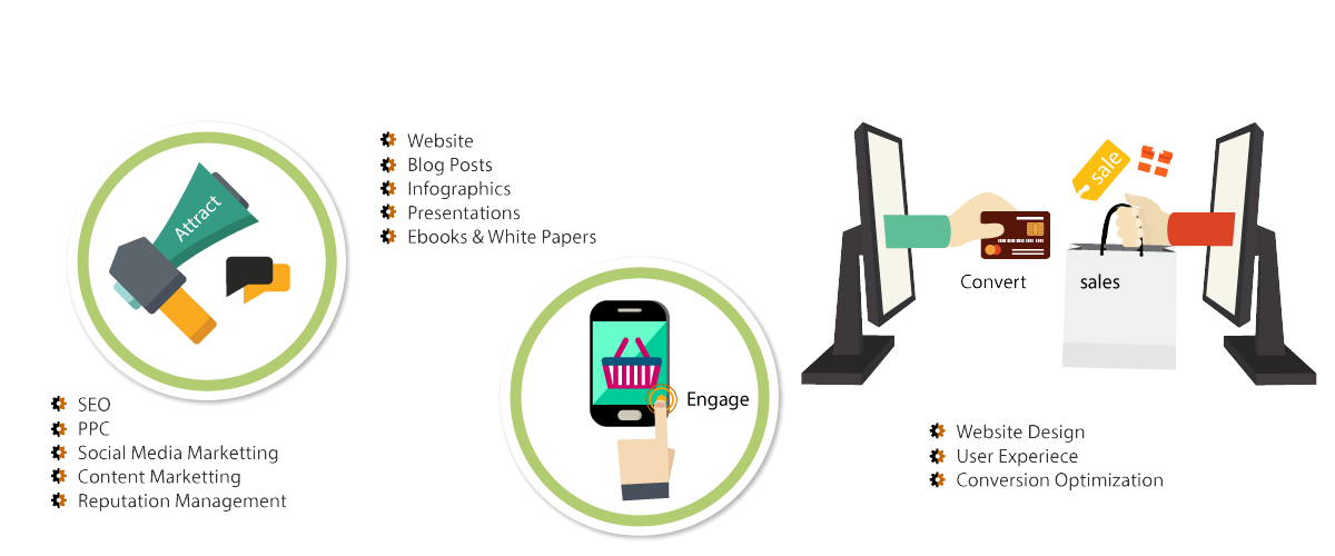 SEO Agency for Sustainable Organic Growth